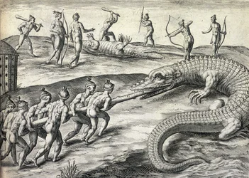 Amérindiens nus chassant des alligators en Floride, USA