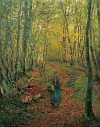 Intérieur de forêt avec une fille cherchant des champignons