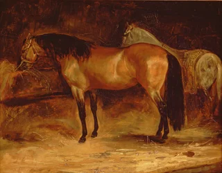 Un Cheval Bai à une mangeoire, avec un cheval gris sous une couverture