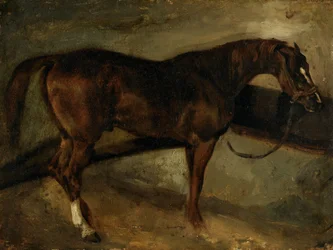 Cheval bai