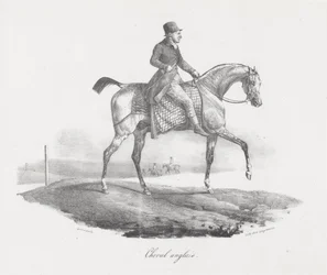 Cheval anglais (An English Horse)