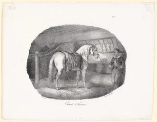 Cheval d