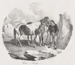 Chevaux d