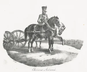 Chevaux des Ardennes (Horses from the Ardennes)
