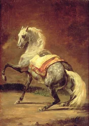 Cheval gris pommelé