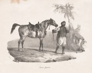Jument égyptienne