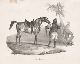 Jument Égyptienne, 1822