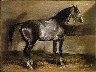 Cheval gris au râtelier