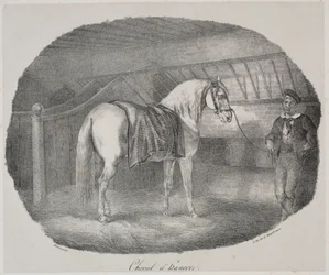 Cheval hanovrien