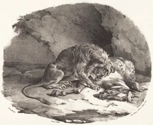 Cheval dévoré par un lion