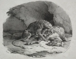 Cheval dévoré par un lion