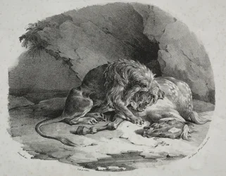 Cheval dévoré par un lion