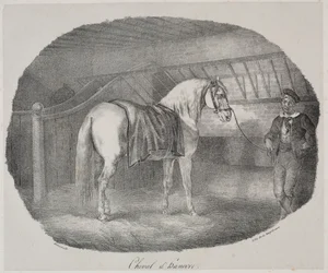 Cheval de Hanovre