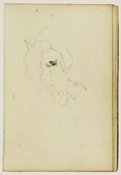 Tête de cheval