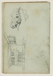 Tête de cheval, vue d