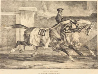 Chevaux en exercice