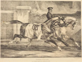 Chevaux à l