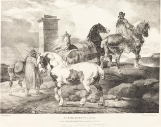 Chevaux allant à une foire