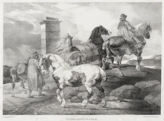 Des chevaux en route pour une foire