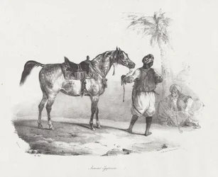 Jument Égyptienne (An Egyptian Mare)