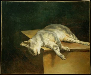 Le chat mort - The dead cat ...