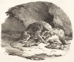 Un lion dévorant un cheval