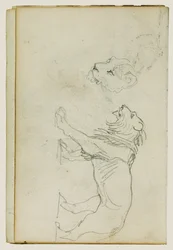 Lion marchant, tête de lionne