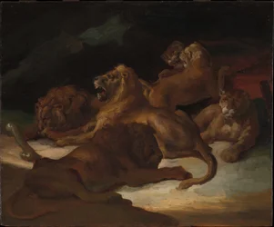 Des lions dans un paysage montagneux