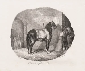 Études lithographiées de chevaux : Pl. 7, Cheval de la plaine de Caen