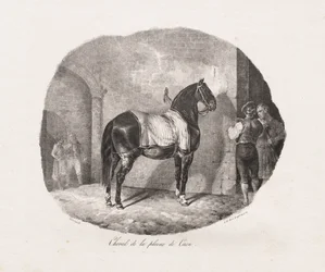 Études lithographiées de chevaux : Pl. 7, Cheval de la plaine de Caen, 1822