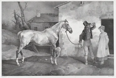 Un vieux cheval devant la porte d