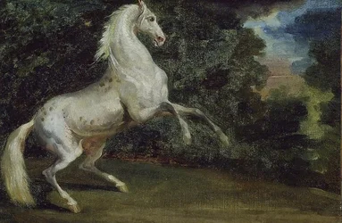 Cheval Cabriolant