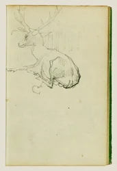 Cerf assis