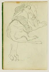 Lion assis