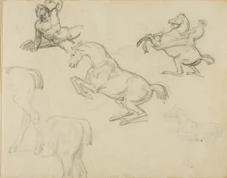 Croquis : Nu allongé, un cavalier et divers chevaux