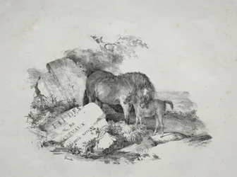 La jument et son poulain