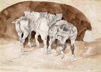 Trois chevaux lourds en harnais