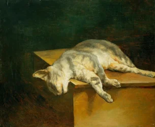 Chat mort