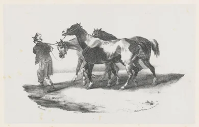 Trois chevaux conduits à l