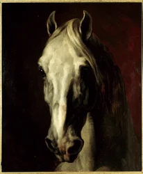 Tête de cheval blanc. Peinture de Théodore Géricault (1791-1824)