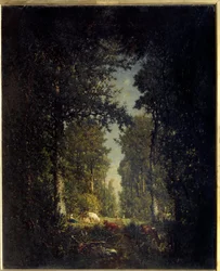 Une allée, forêt de L