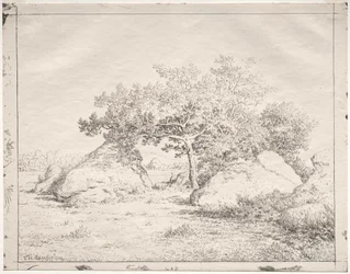 Cerisier à Blau