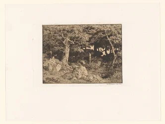 Chênes sur des rochers