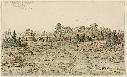 Sentier dans les Barbizonnières