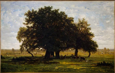 Groupe de Chênes, Apremont