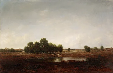 Paysage avec marais