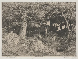 Chênes et rochers