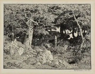 Chêne sur les rochers