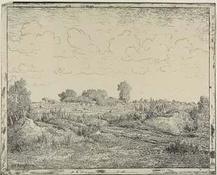 Plaine à Plante à Biau