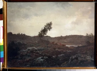 Vue de Barbizon